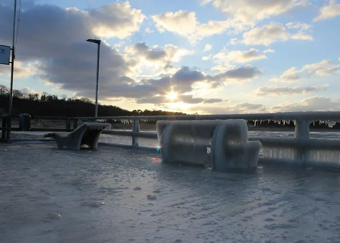 Pia